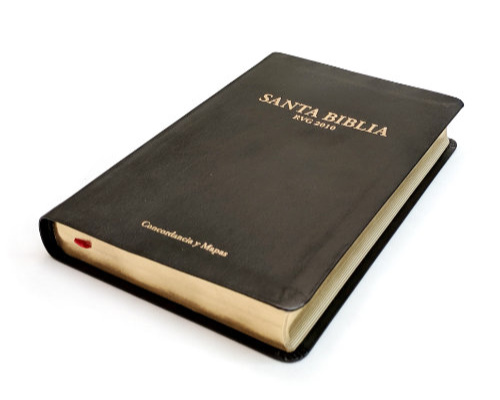 Santa Biblia - RVG 2010 - Piel Fabricada